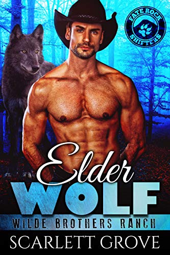 Wilde Brothers Ranch book cover 1