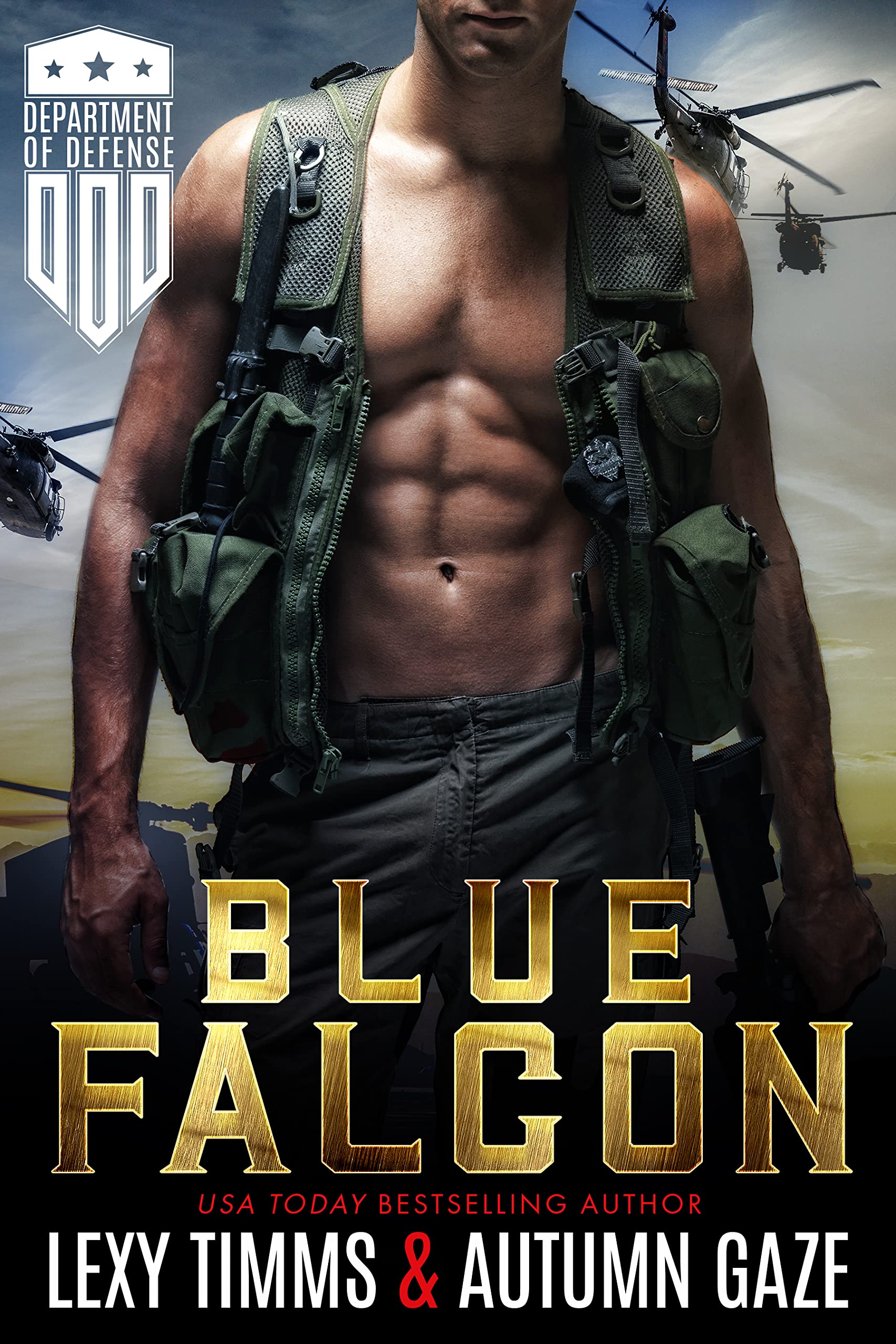 Department of Defense book cover 2