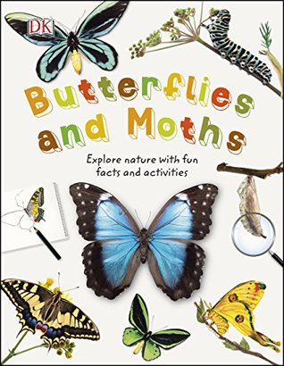Butterflies and Moths book cover