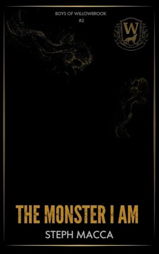 Boys of Willowbrook book cover 2