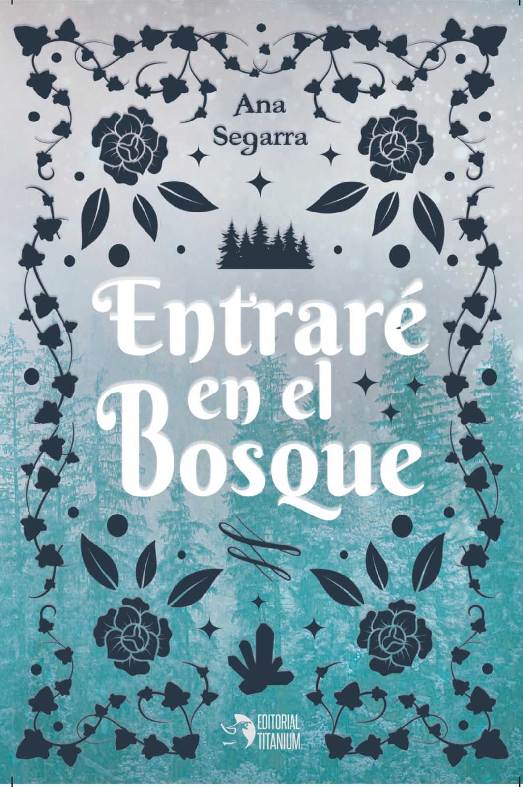 El misterio de Goeden book cover 1