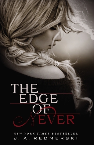 The Edge of Never book cover 1