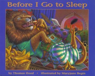 Before I Go to Sleep book cover