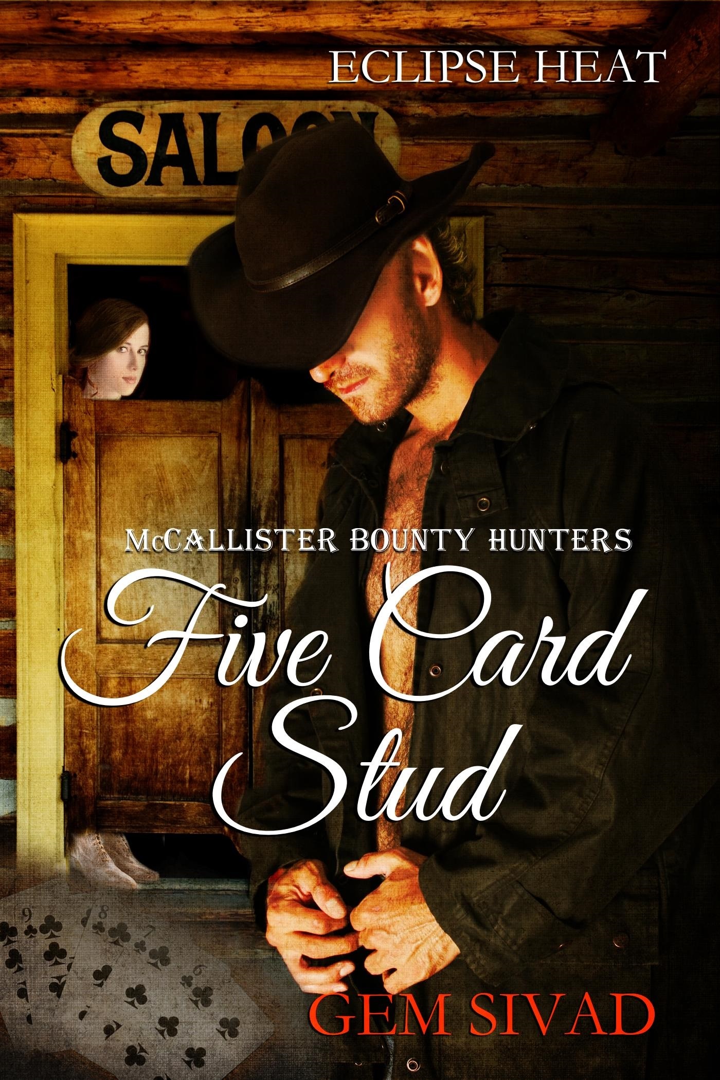 The McCallisters book cover 2