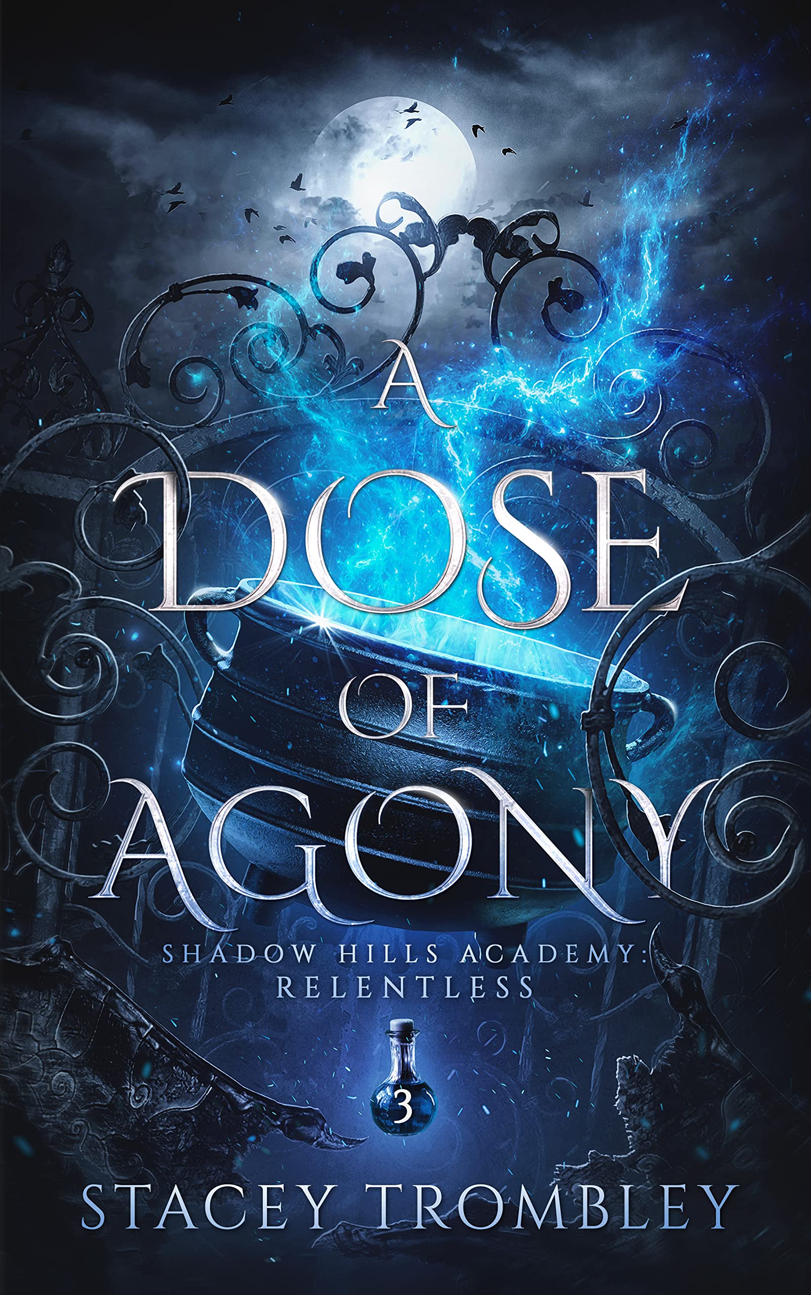 Shadow Hills Academy: Relentless book cover 3