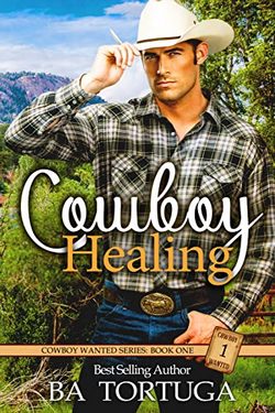 Cowboy Wanted book cover 1