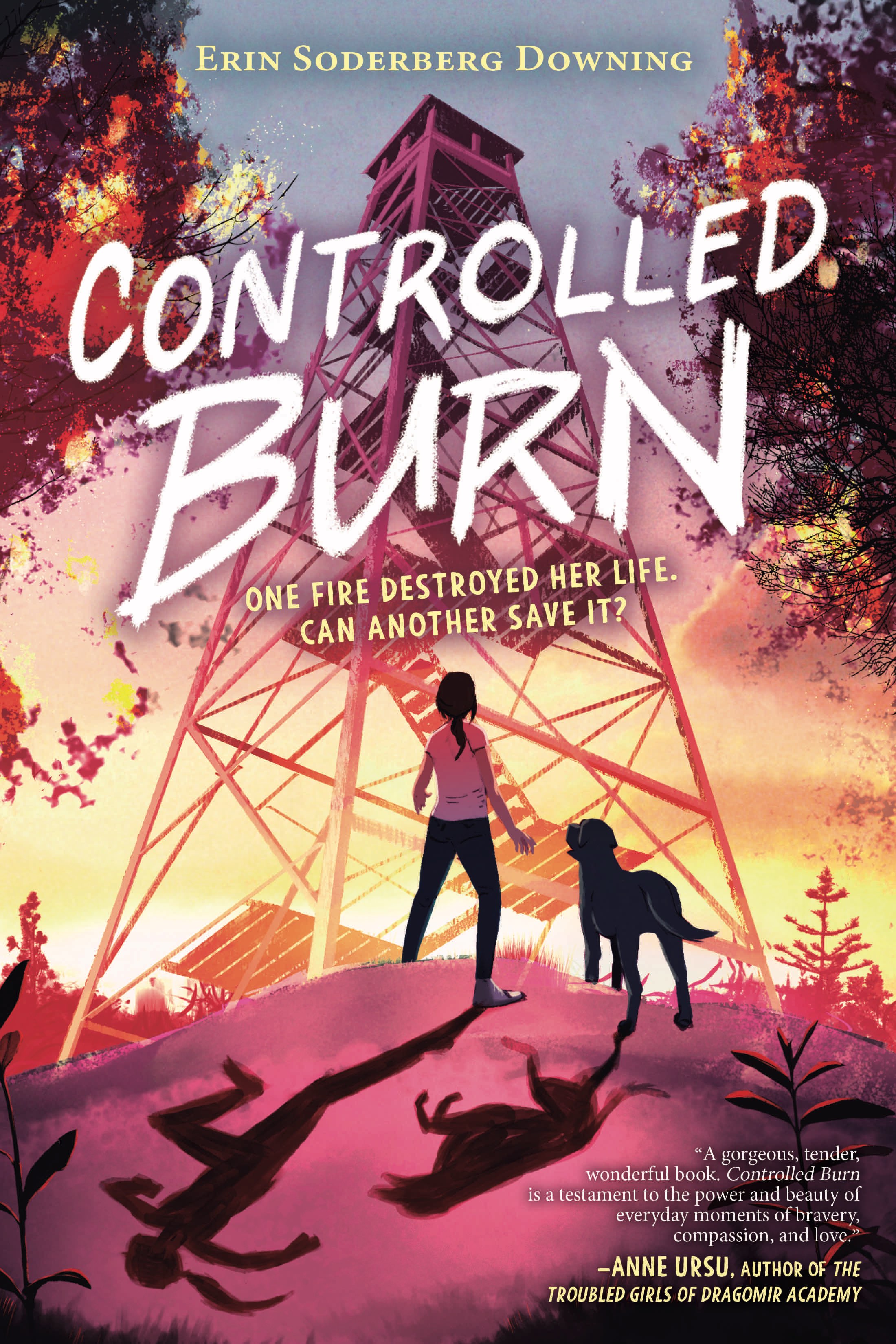 Controlled Burn book cover
