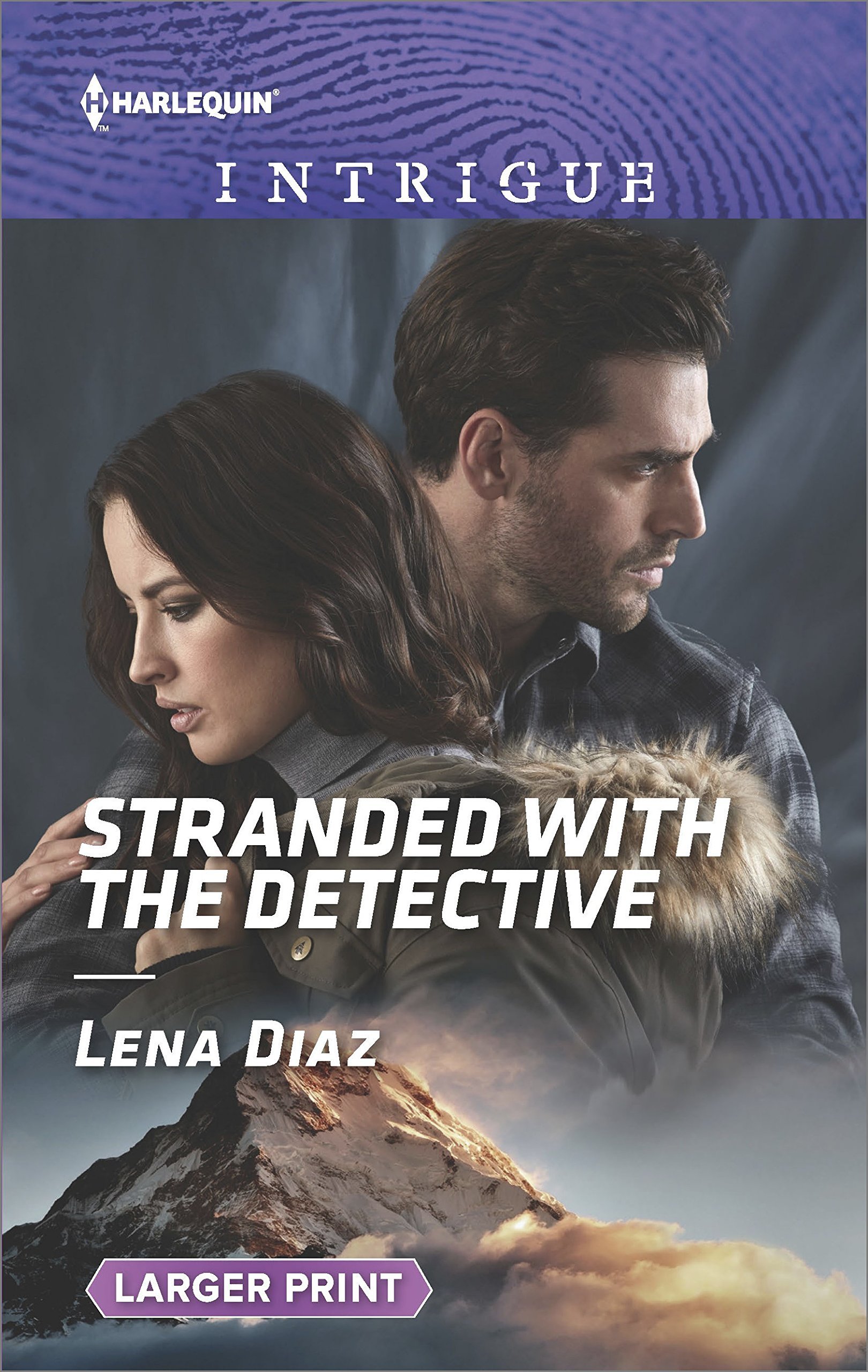 Stranded with the Detective book cover