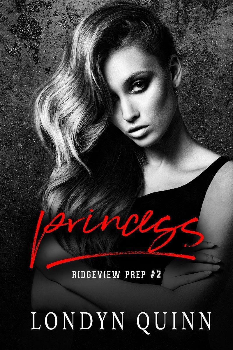 Ridgeview Prep book cover 2