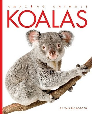 Koalas book cover