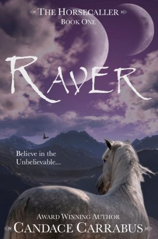Raver book cover