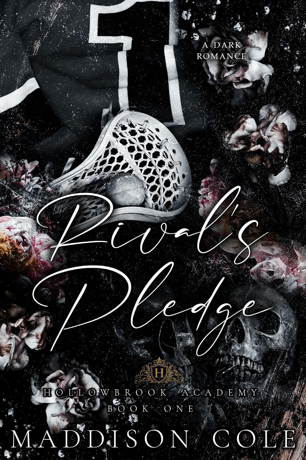 Hollowbrook Academy book cover 1