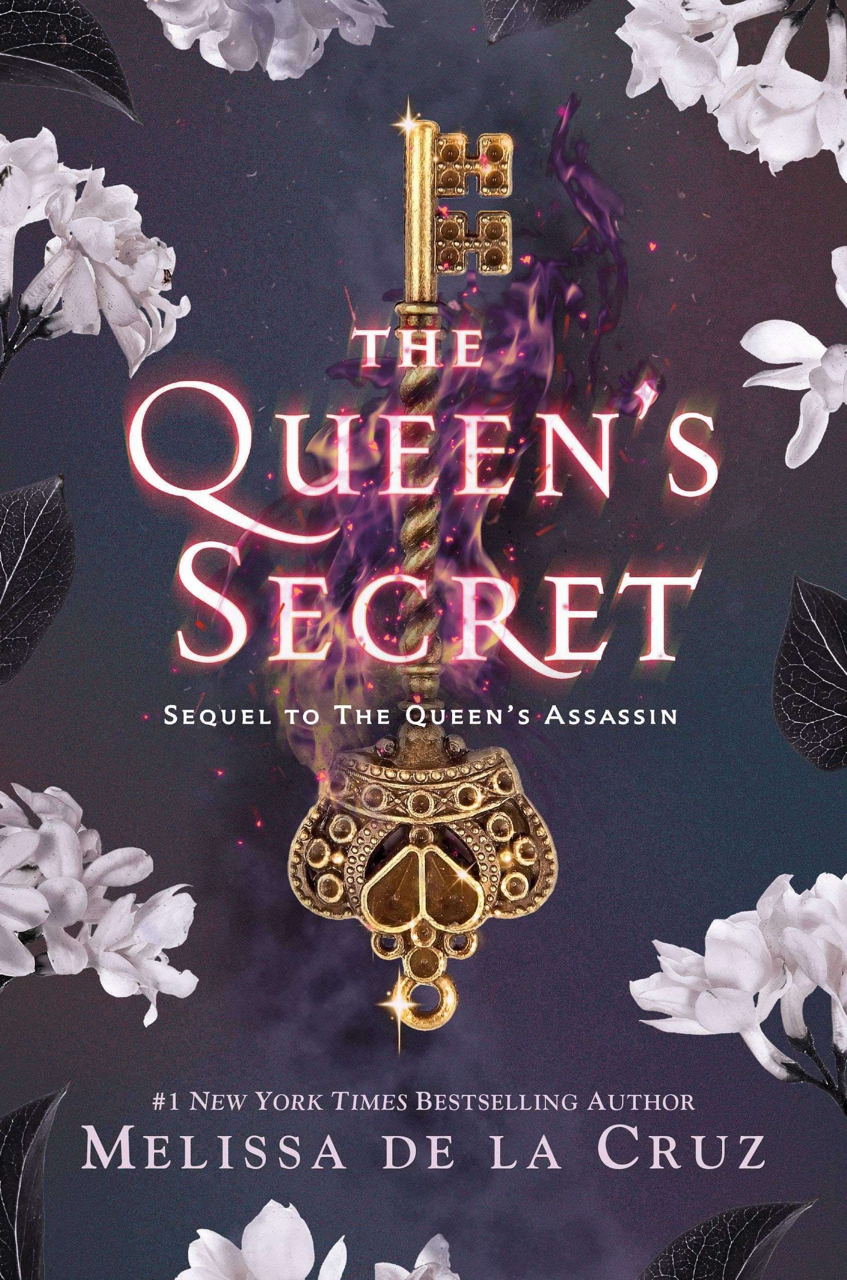 The Queen's Assassin book cover 2