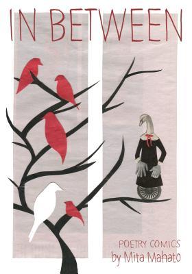 Visual Poetry Series, Pleiades Press book cover 2