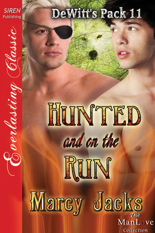 Hunted and on the Run book cover