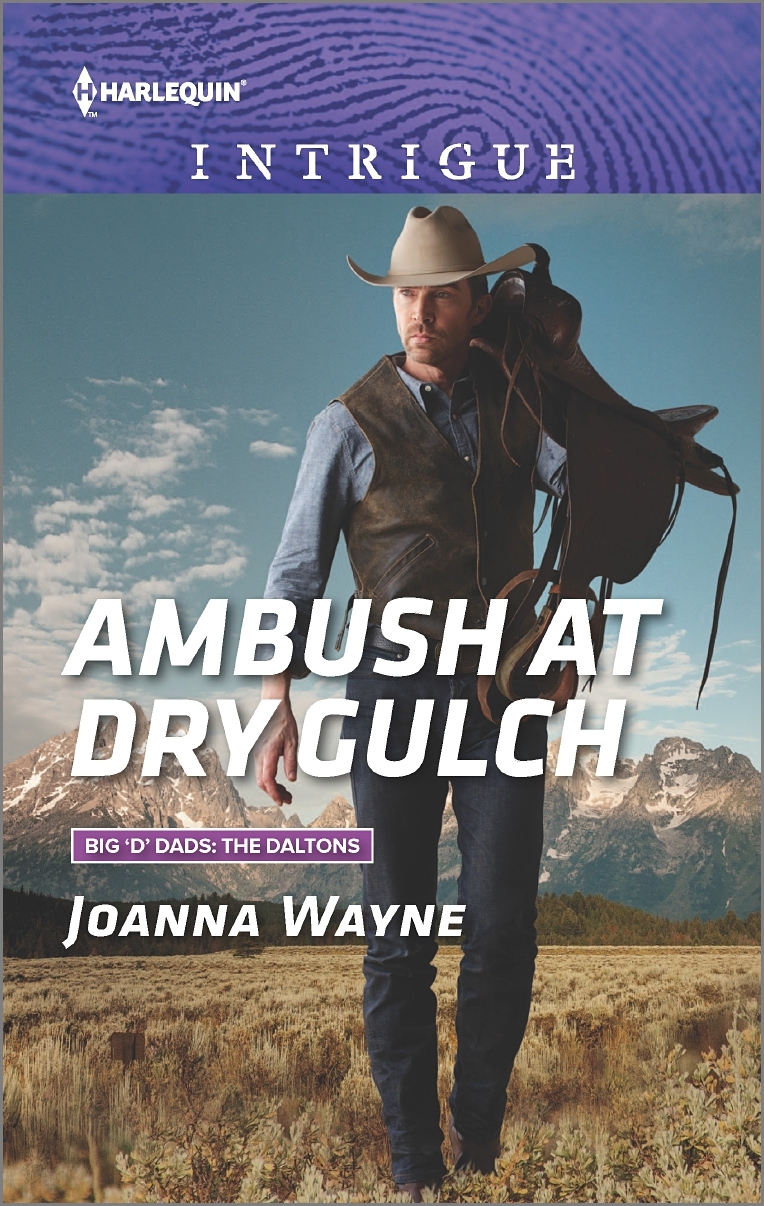 Ambush at Dry Gulch book cover
