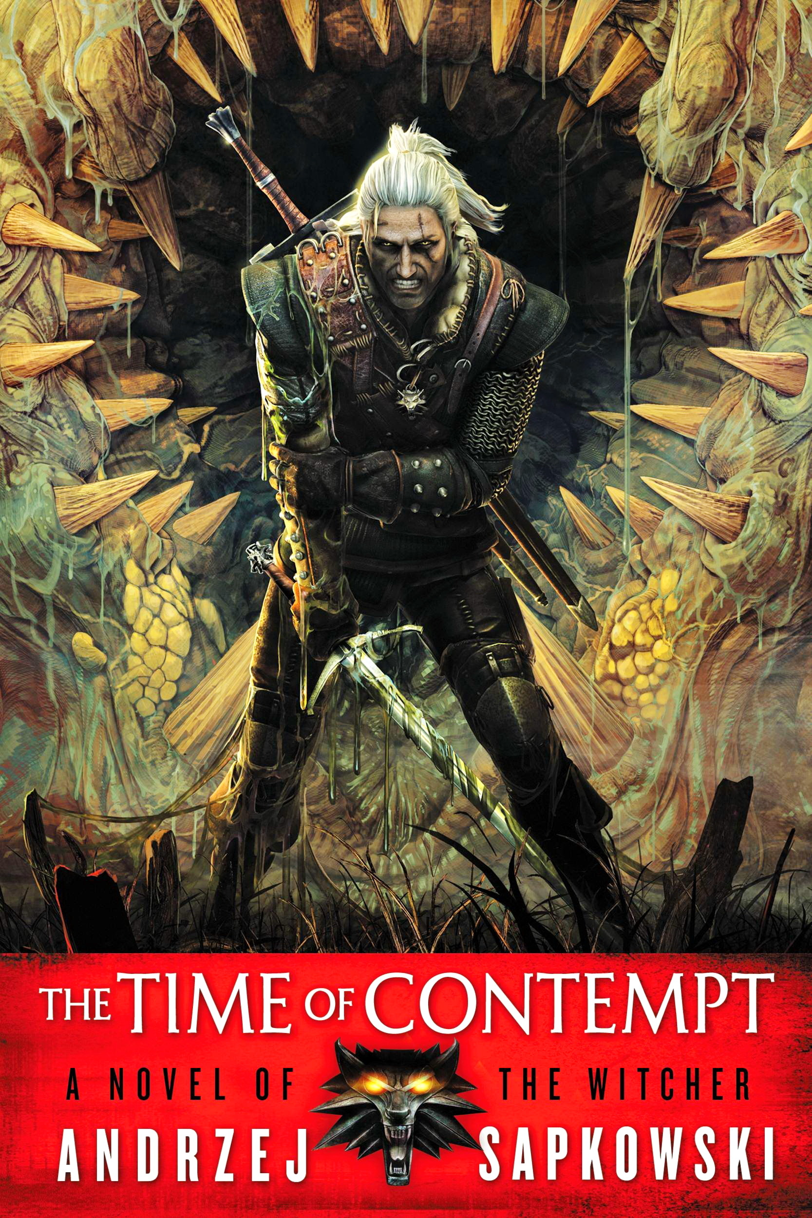The Witcher book cover 2