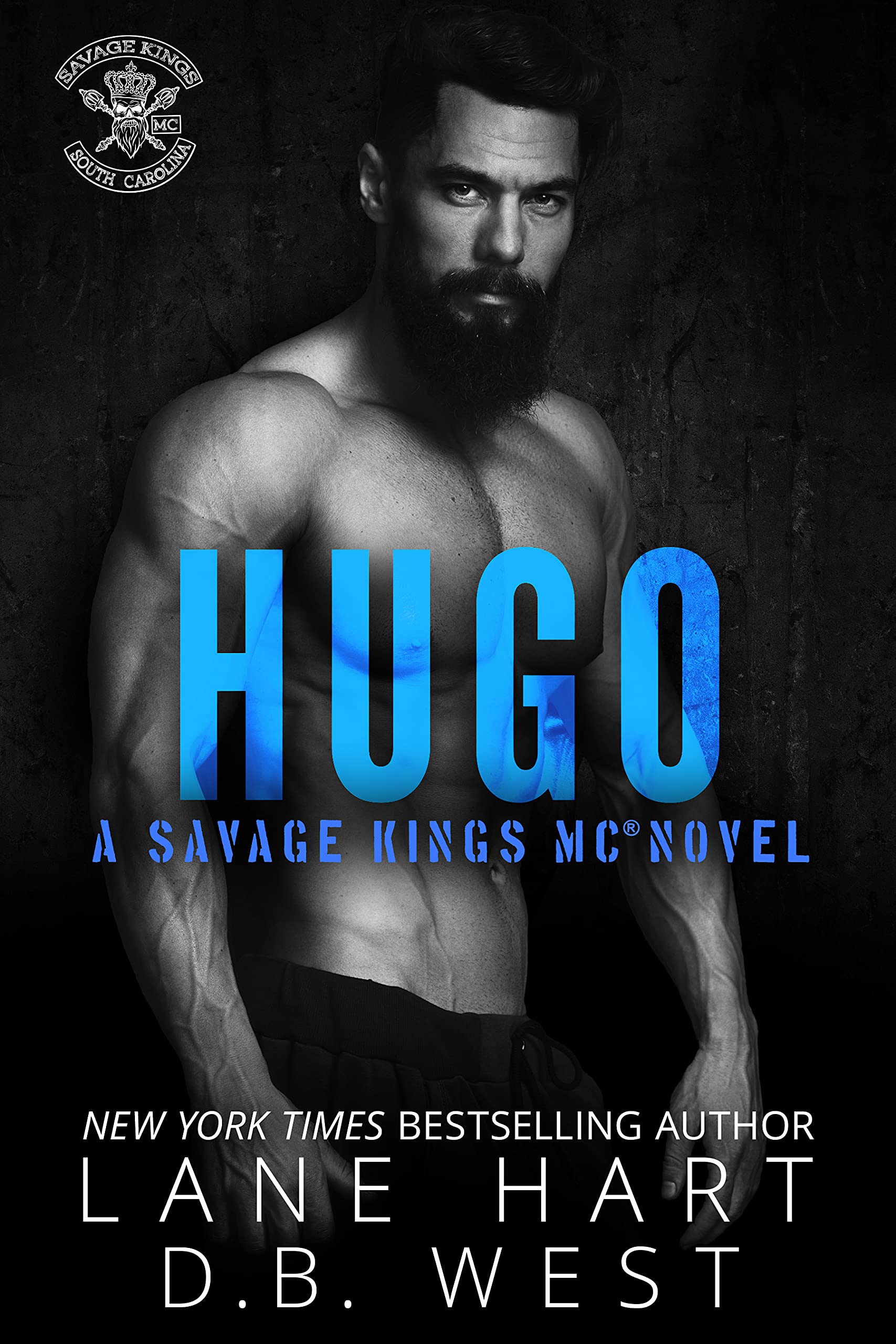Hugo book cover