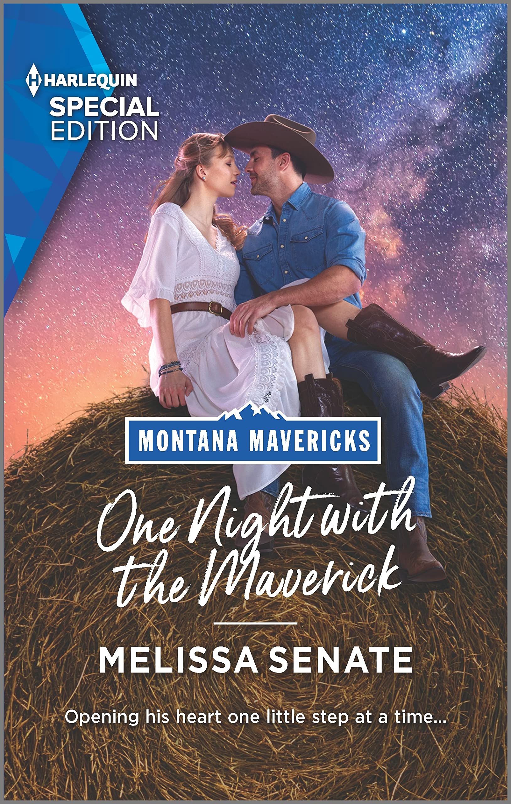 Montana Mavericks: Brothers & Broncos book cover 3