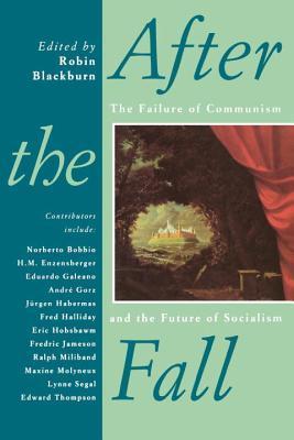 After the Fall book cover
