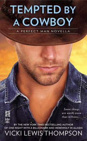 Perfect Man book cover 2