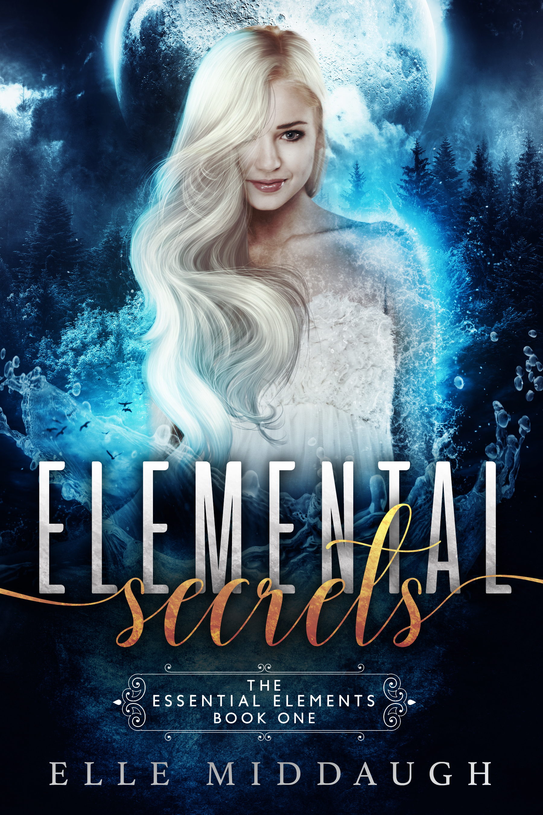 Essential Elements book cover 1