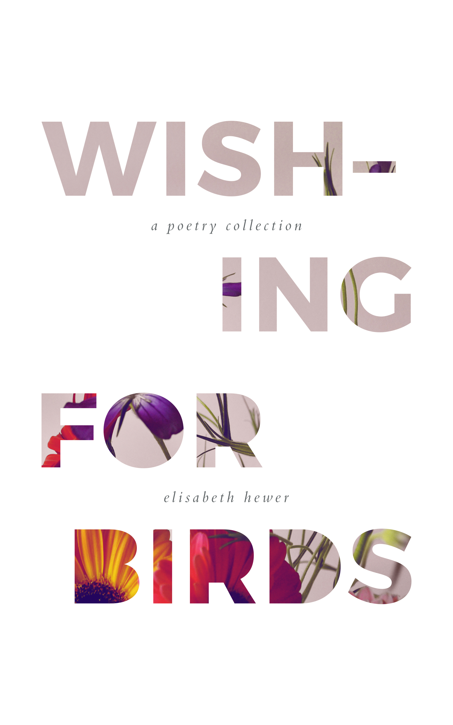 Wishing for Birds book cover