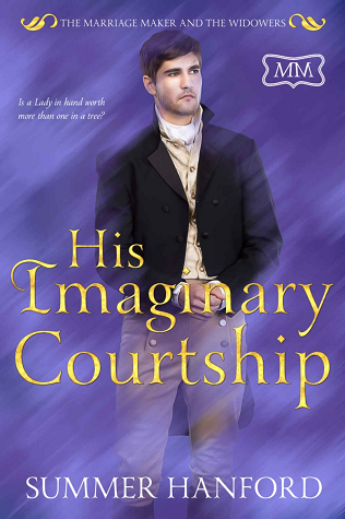 His Imaginary Courtship book cover