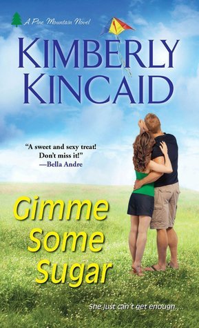 Pine Mountain book cover 2
