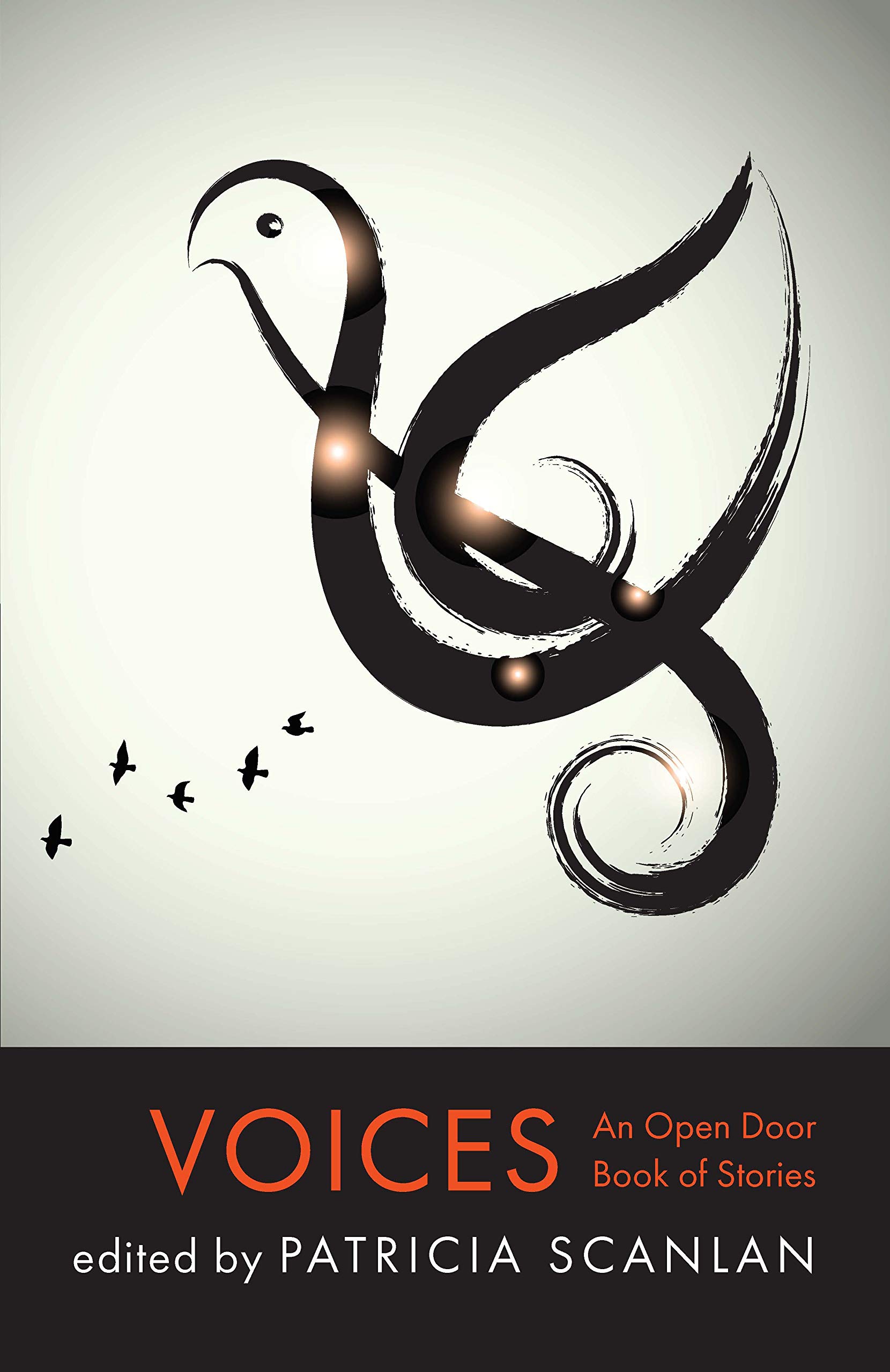 Voices book cover