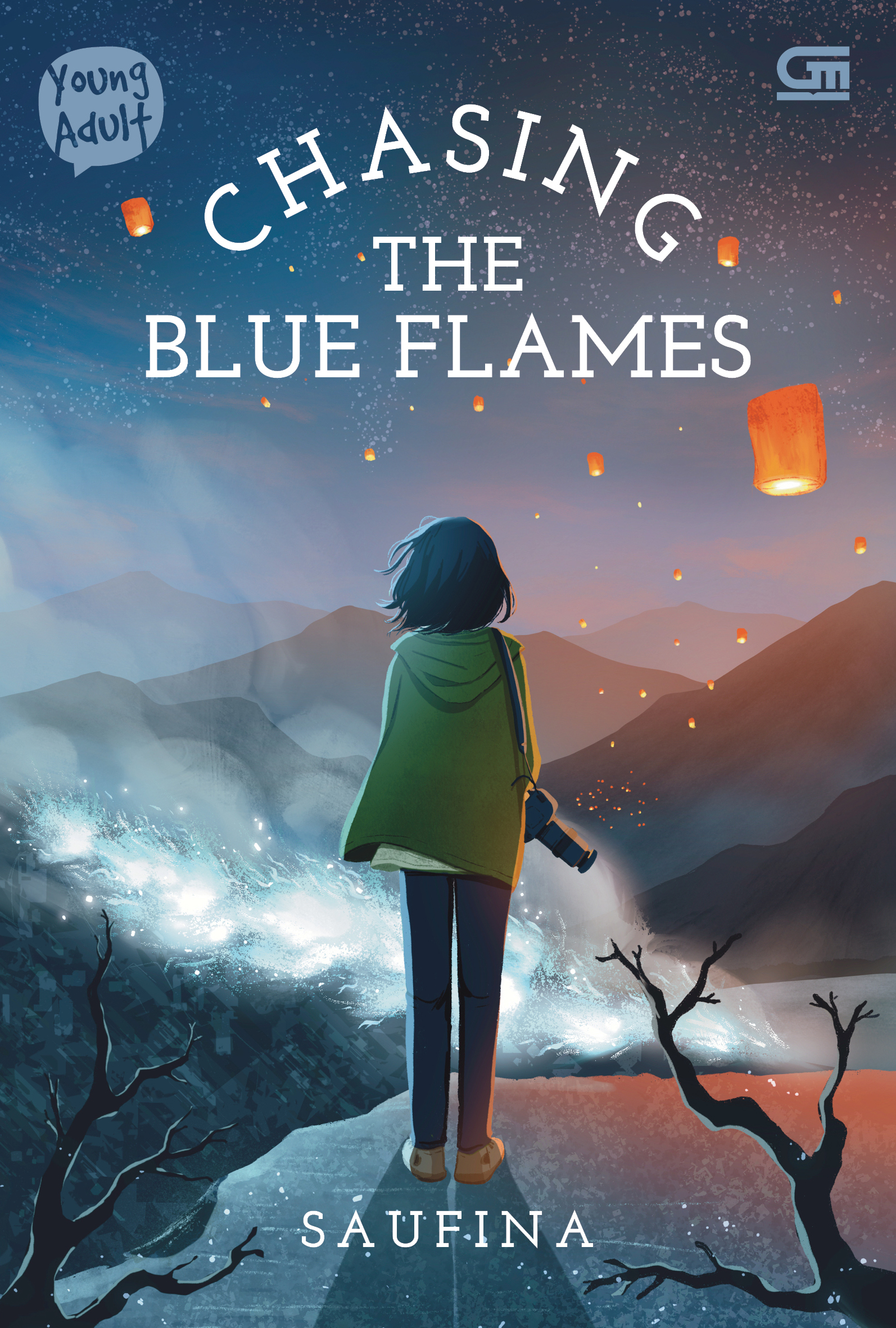 Chasing the Blue Flames book cover