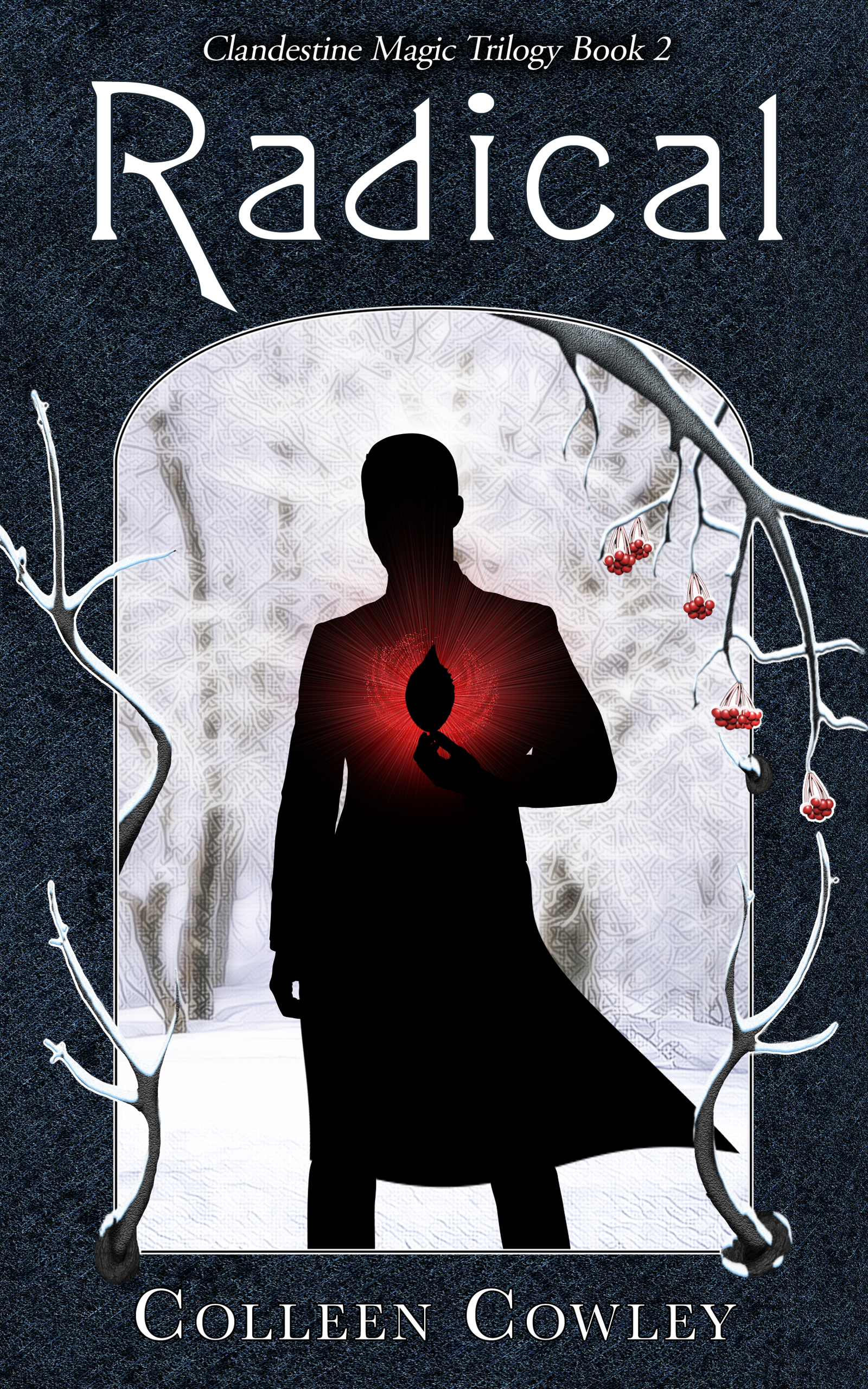 Clandestine Magic book cover 2
