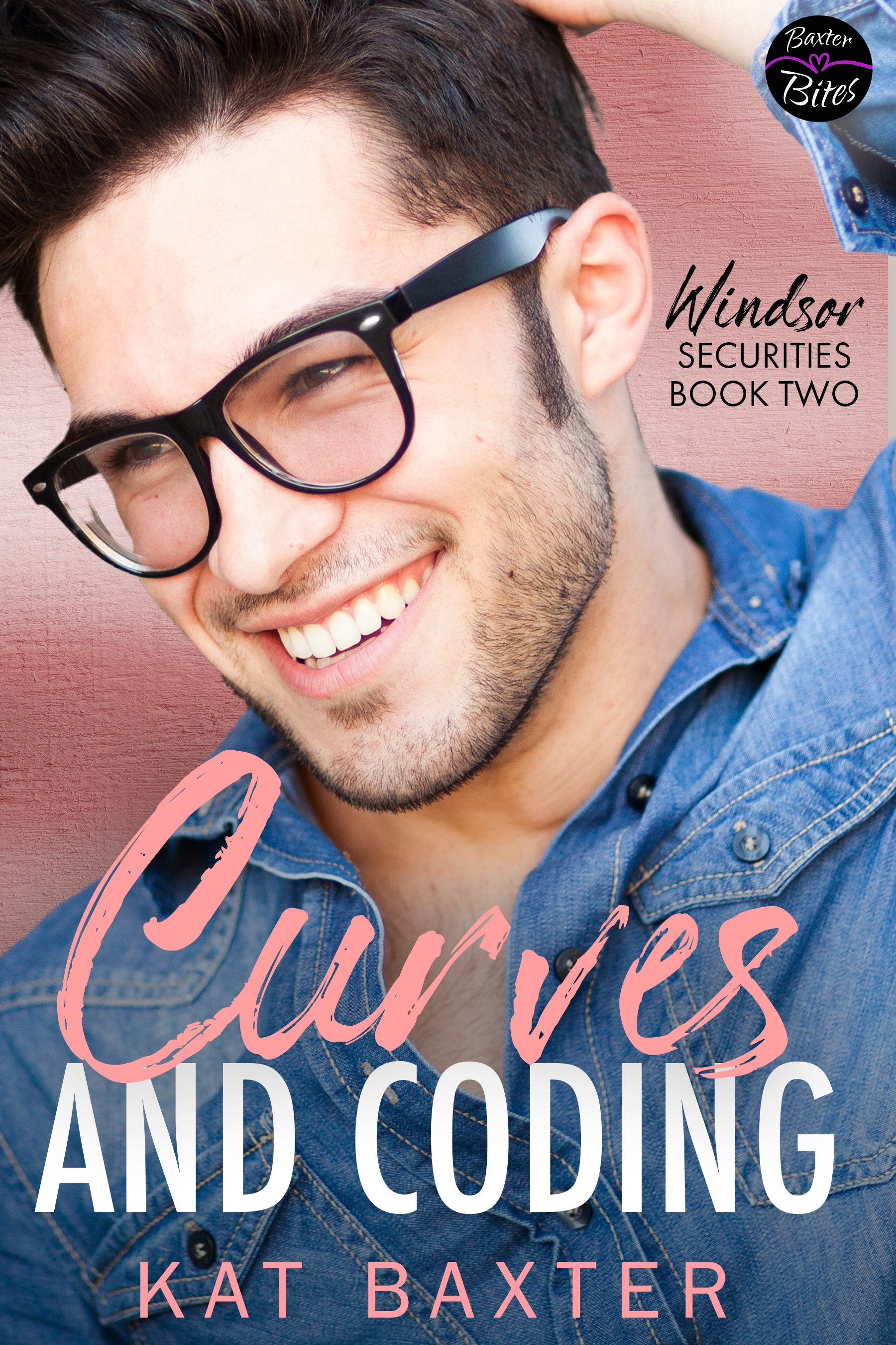 Windsor Securities book cover 1
