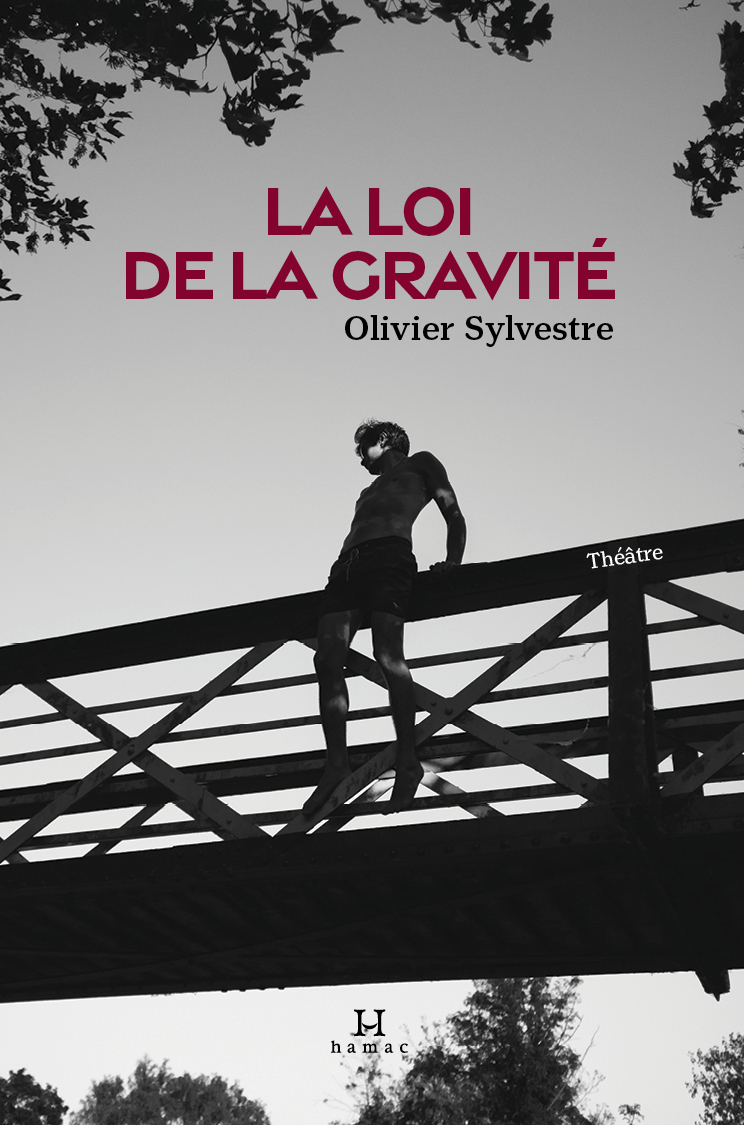 La loi de la gravité book cover