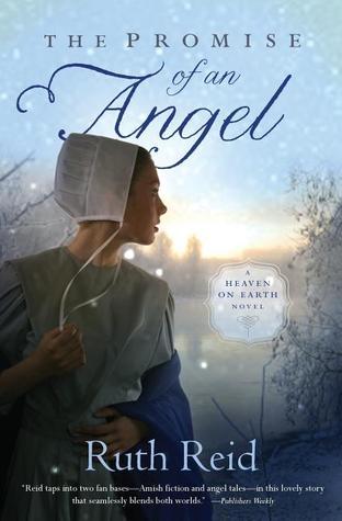 The Promise of an Angel book cover