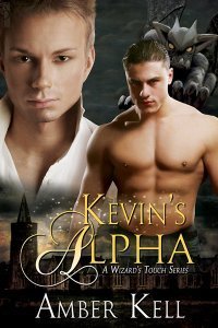 A Wizard's Touch book cover 2