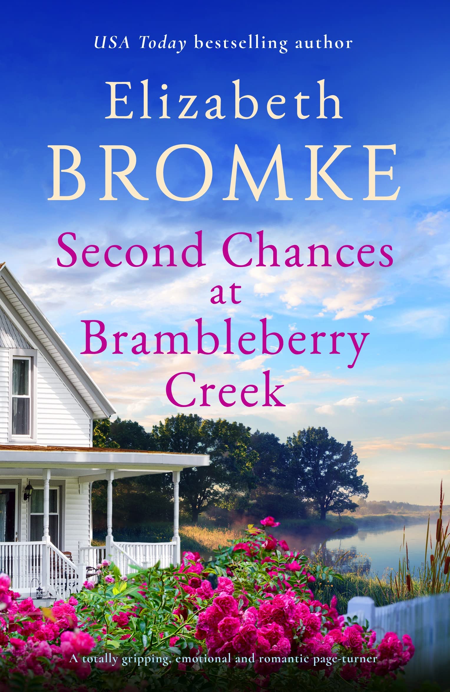 Second Chances at Brambleberry Creek book cover