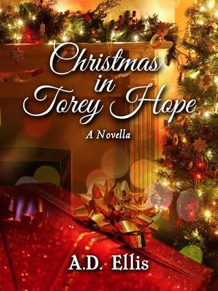 Christmas in Torey Hope book cover