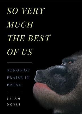 So Very Much the Best of Us book cover