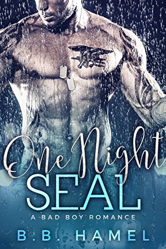 One Night SEAL book cover