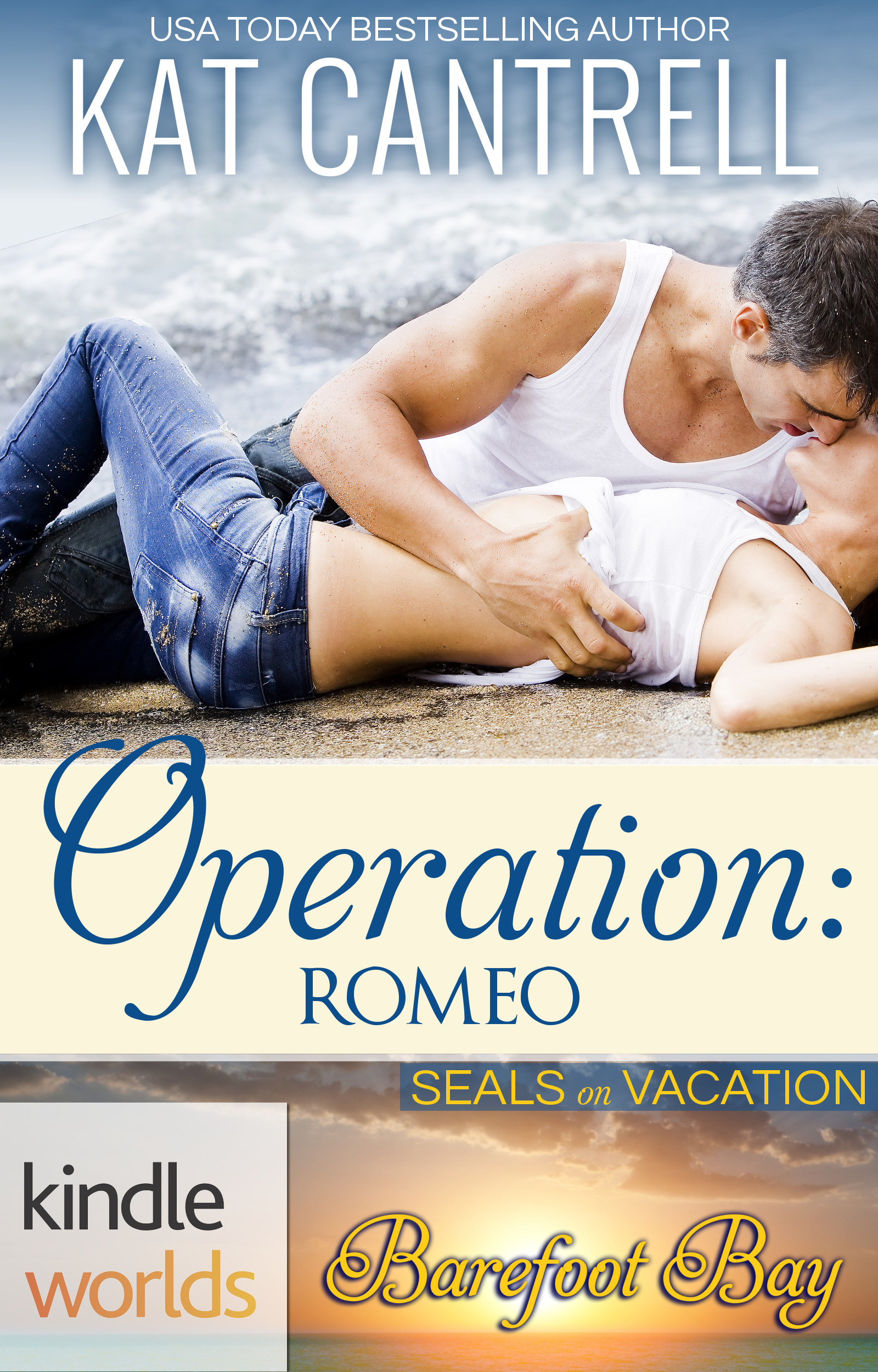 SEALs on Vacation book cover 1