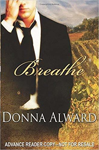 Second Chances book cover 3