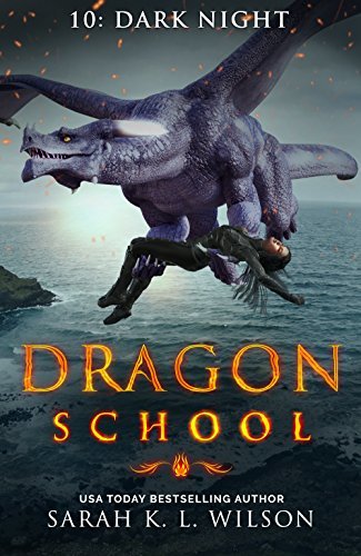 Dark Night book cover