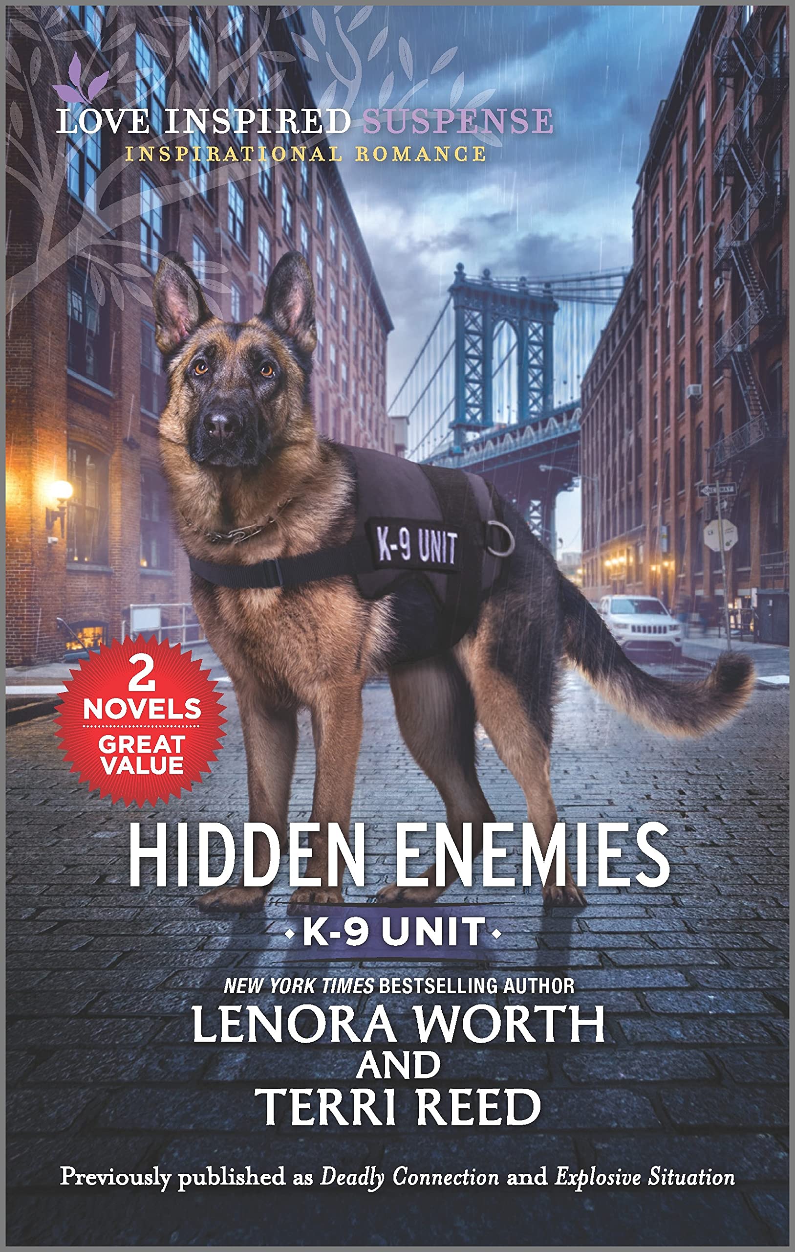 Hidden Enemies book cover