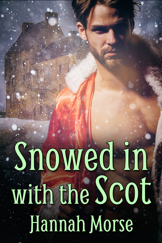 Snowed in with the Scot book cover
