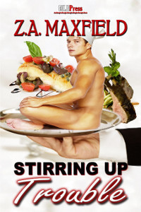 Stirring book cover 1