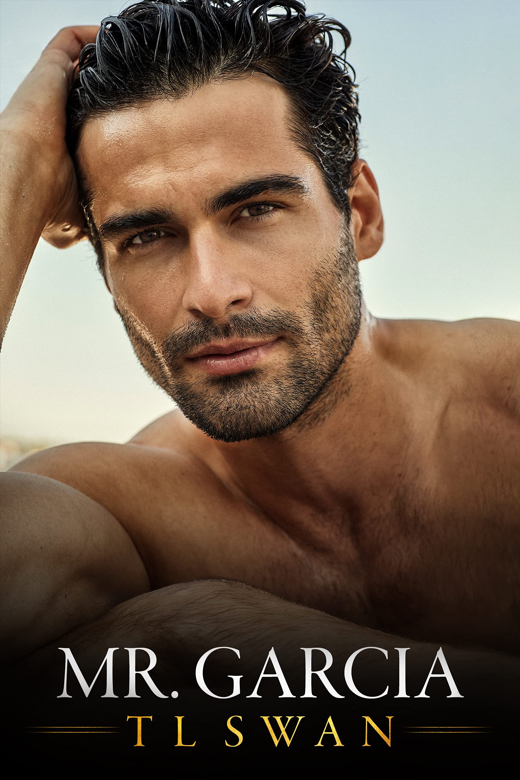 Mr. Series book cover 3