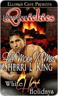 Full Moon Xmas book cover