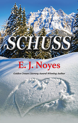 Schuss book cover