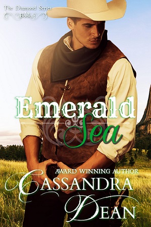 Diamond book cover 3